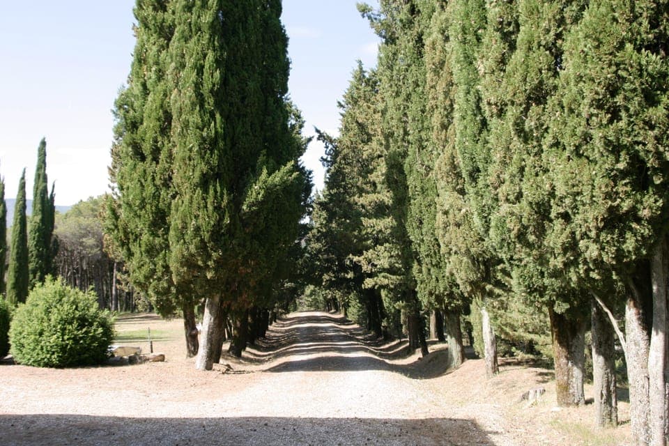 Entrance to the farmhouse