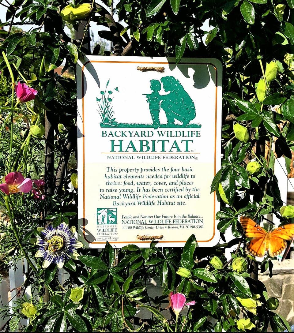 YARD IS CERTIFIED BWH & MONARCH WAYSTATION.