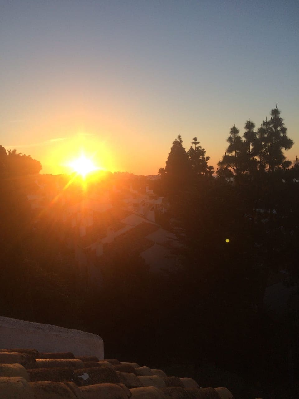 Morning view from the master bedroom