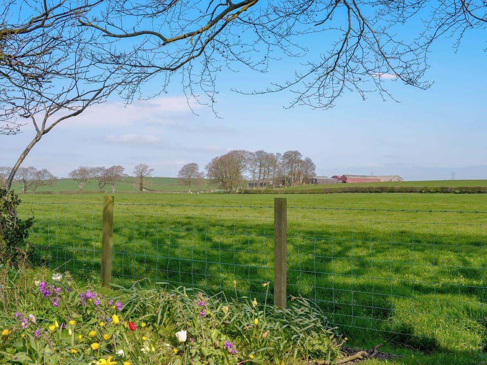 View from Kitchen window | Honeysuckle Cottage, Dreghorn, near Irvine