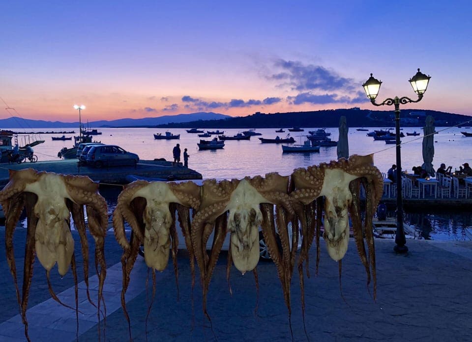 Octopus in restaurants 