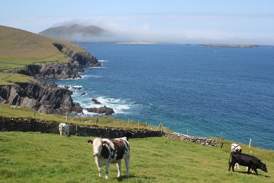 Coumeenole, Dingle Peninsula, County Kerry