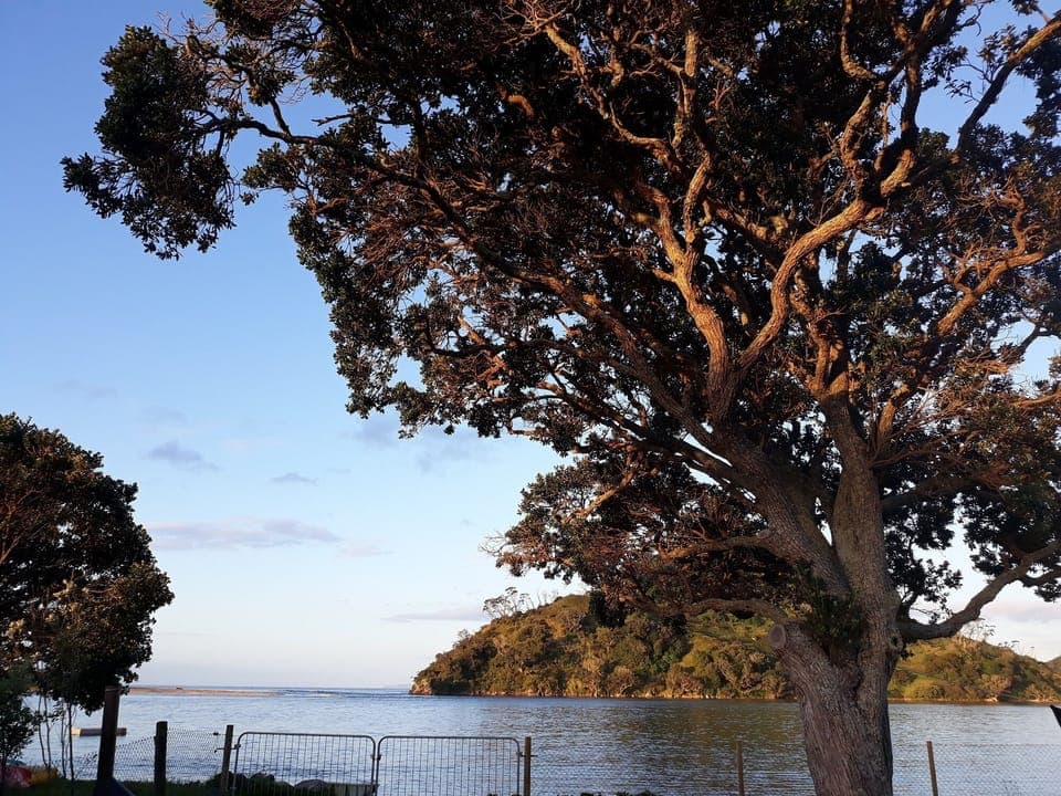 Sunset and high tide bliss from the deck