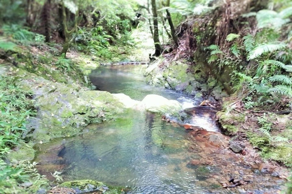 Rocky bottom stream at the bottom of the valley
