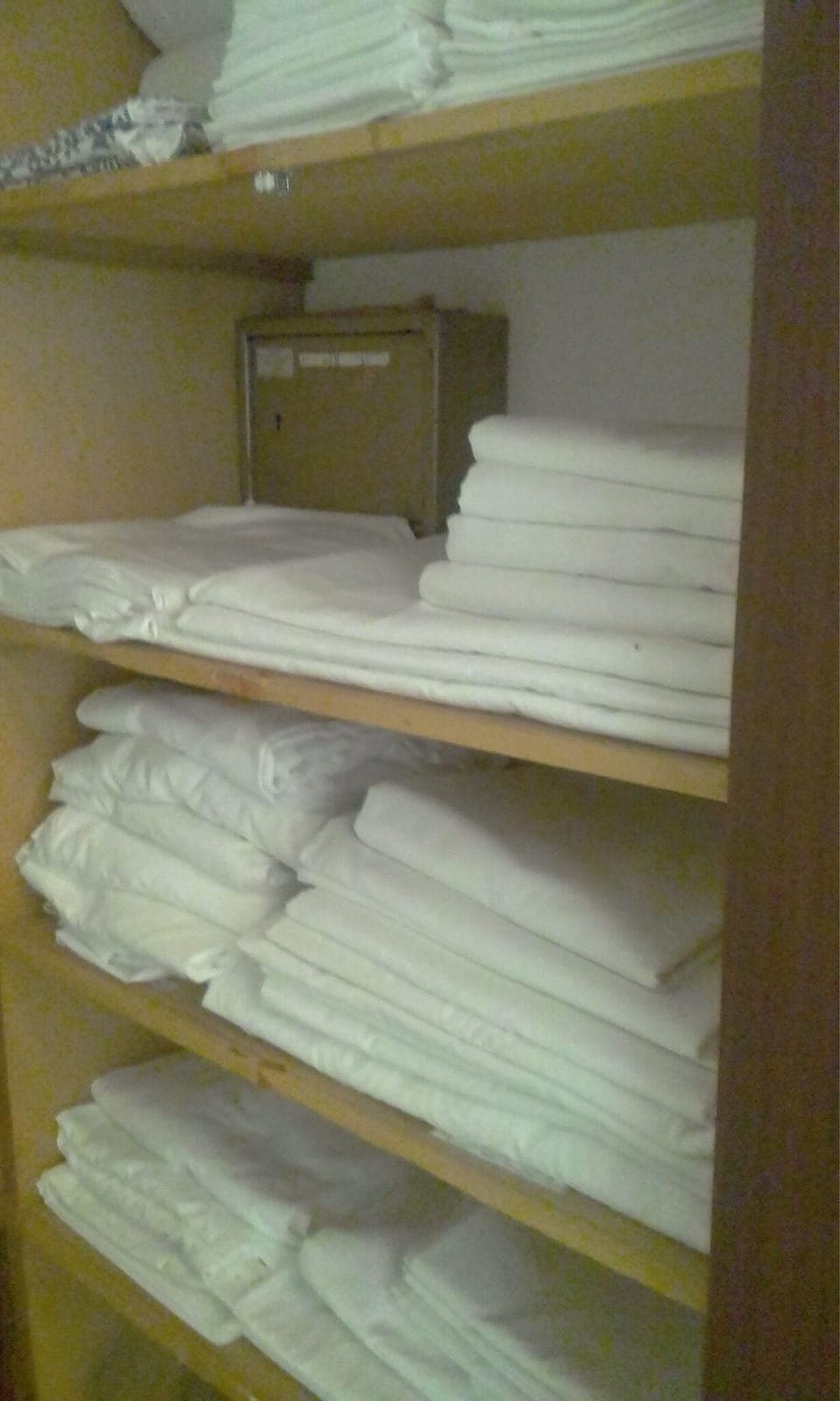 Cool Egyptian Cotton sheets by the score