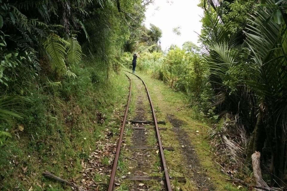 Explore the history of the Waitakeres