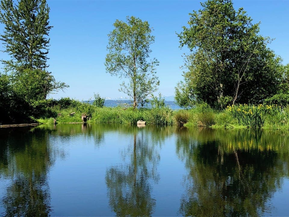 Golden Garden Ponds by Puget Sound...ten minute drive away.