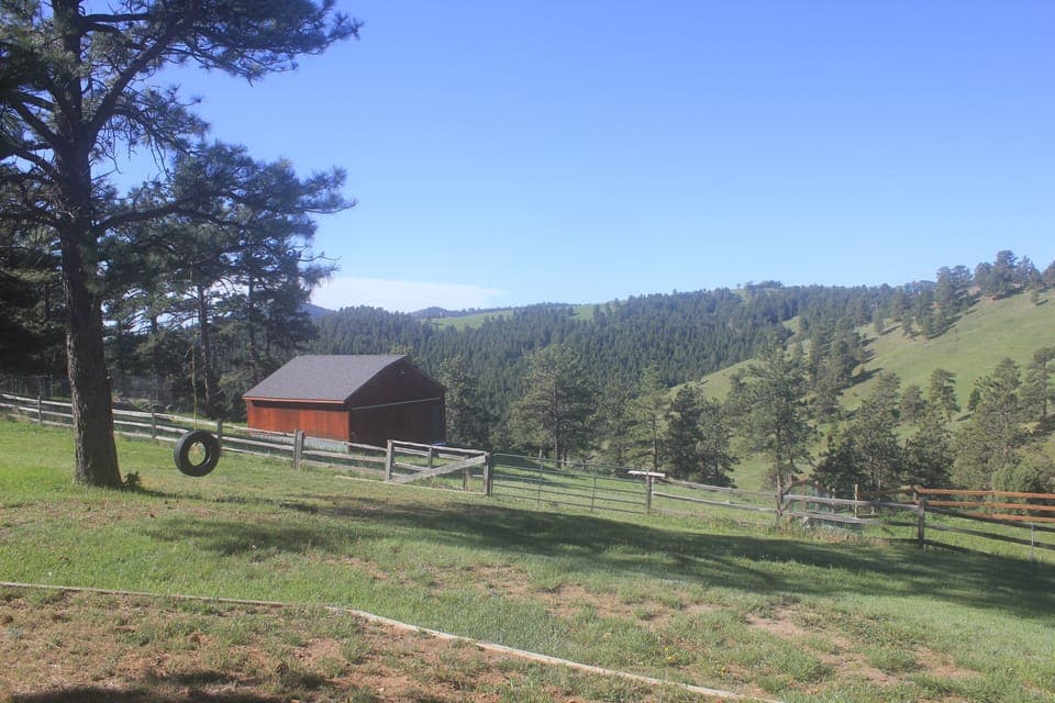 View from the unit