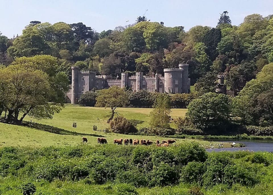 Caerhays Castle 