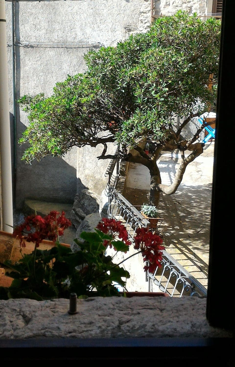 Vista da una finestra