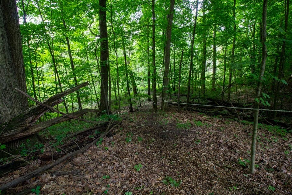 Path with railing to elevated pathway