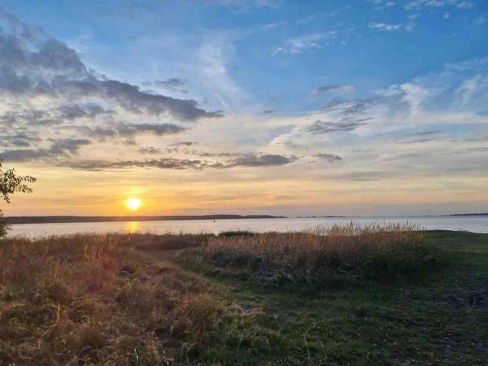 Region [summer] (>5 km)