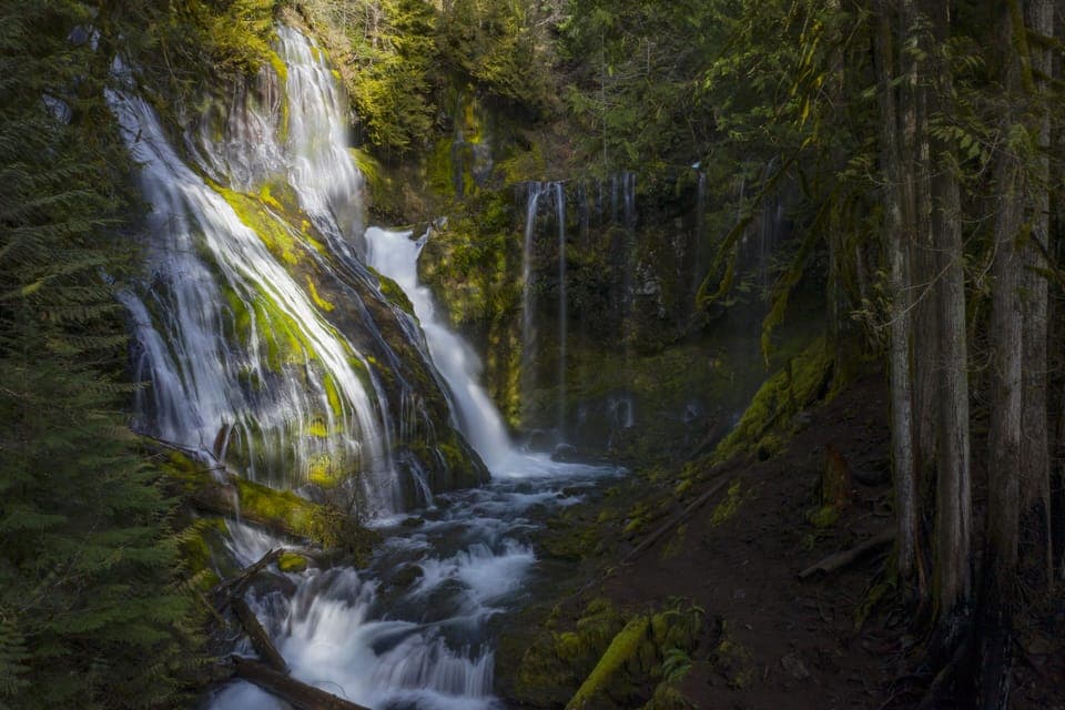 Panther Creek Falls - 15 minutes away!