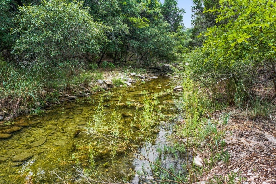 Clearwater of the creek!