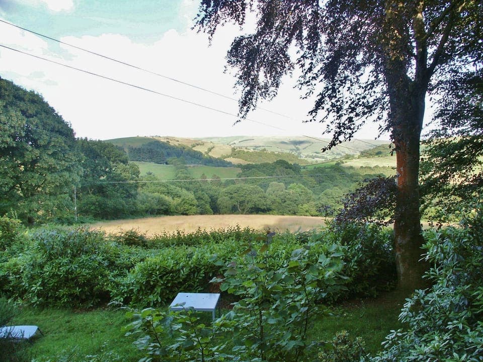 From optional extra of trailer tent between 2 copper beeches