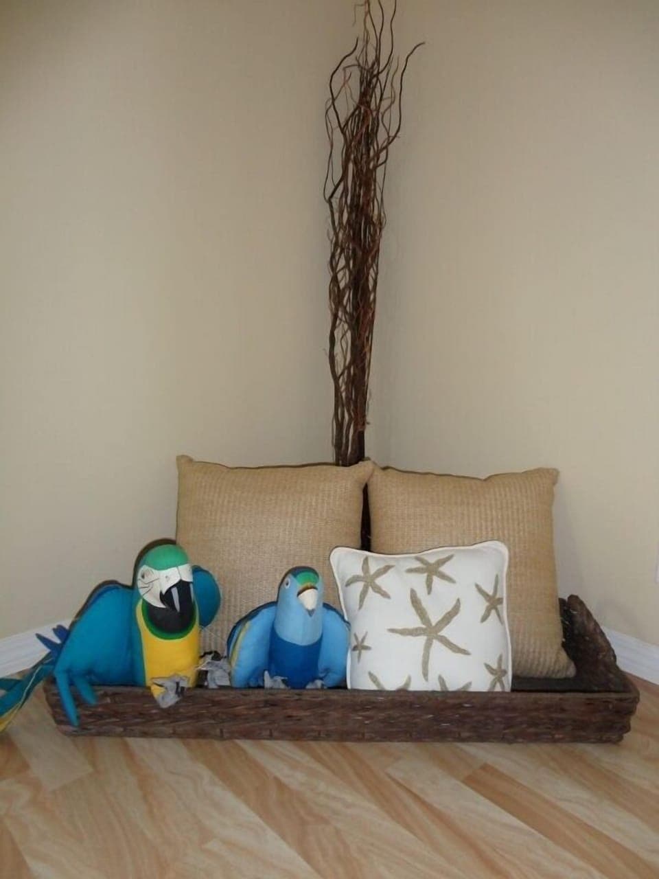 Our resident parrots