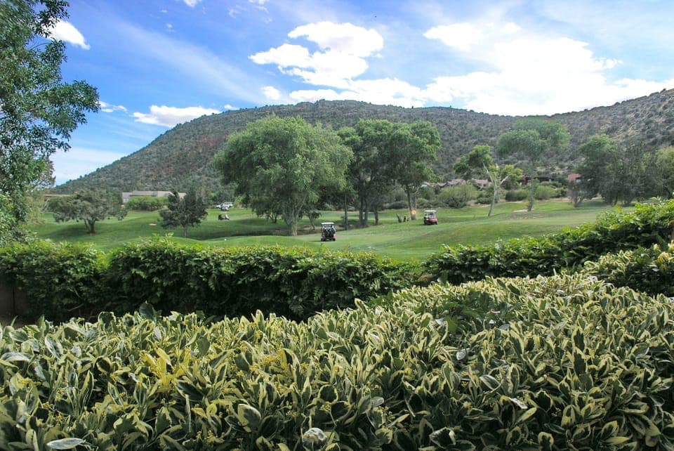 View out the Main Bedroom window.