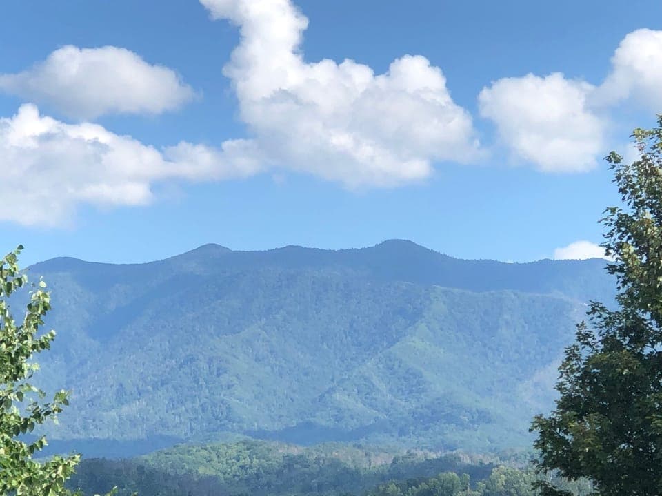 Mount LeConte view from front porch