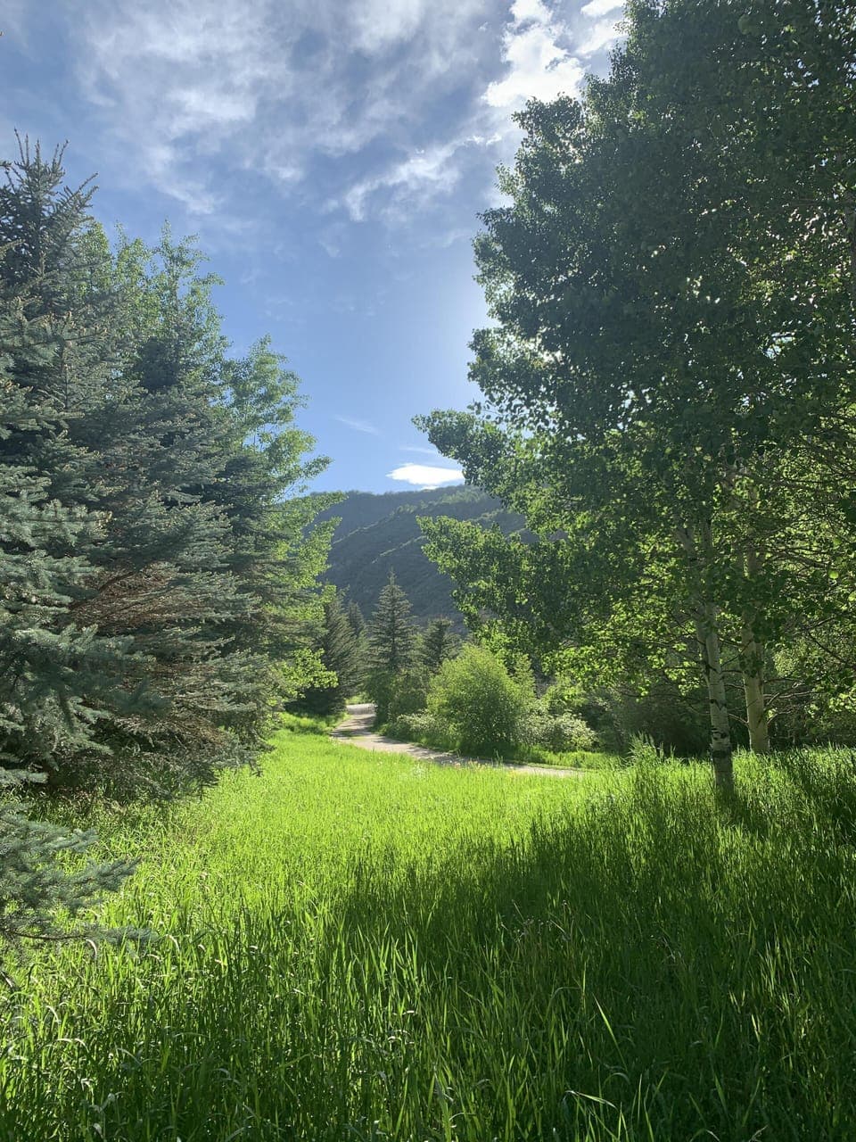 View from the path behind the condo. Vail, like no place on earth
