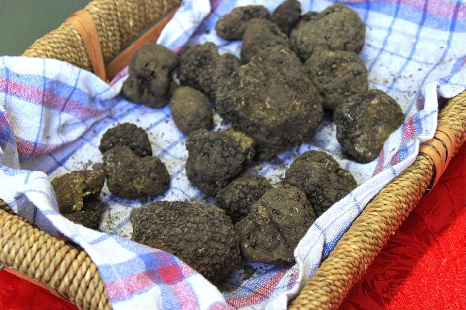 Local Truffles for which our area is Famous