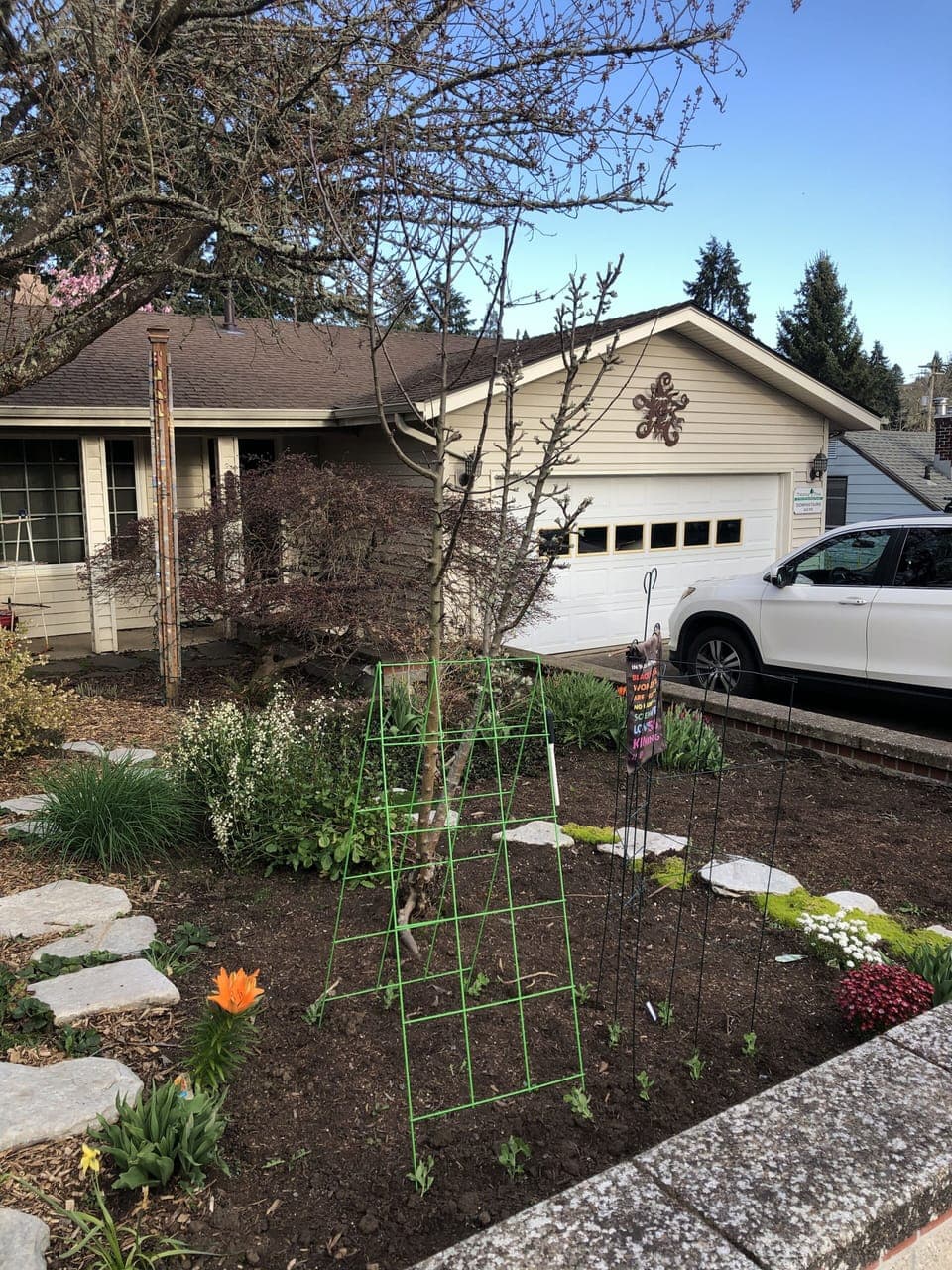 Front of house with spring garden
