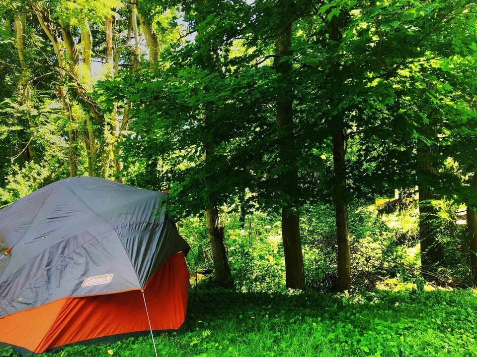 Great space for a campsite in the backyard surrounded by forest.