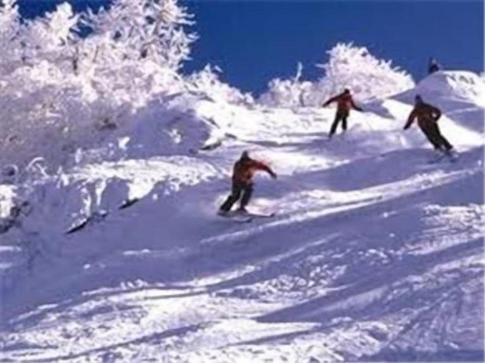 Snow and ski sports