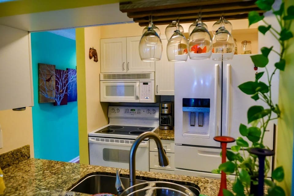 Fully equipped open concept kitchen; coffee grinder, blender, spices and more.