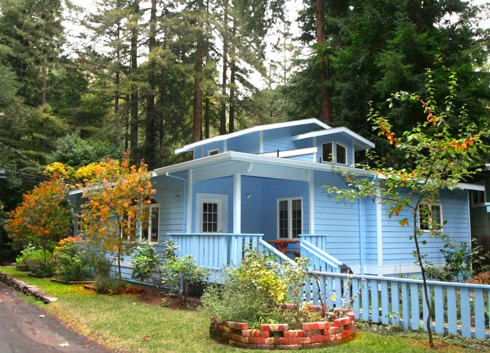 Blue Cherry is beautiful from every angle.