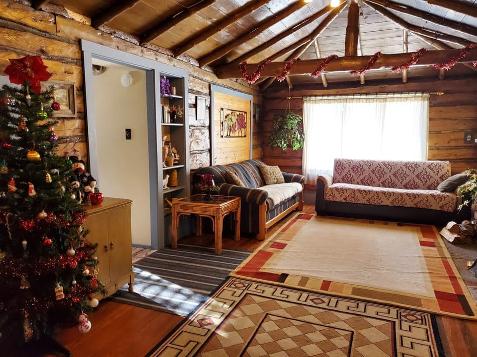 Living room (Christmas season)