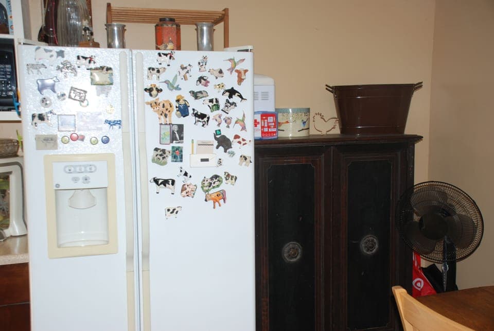 Full-size fridge-freezer.