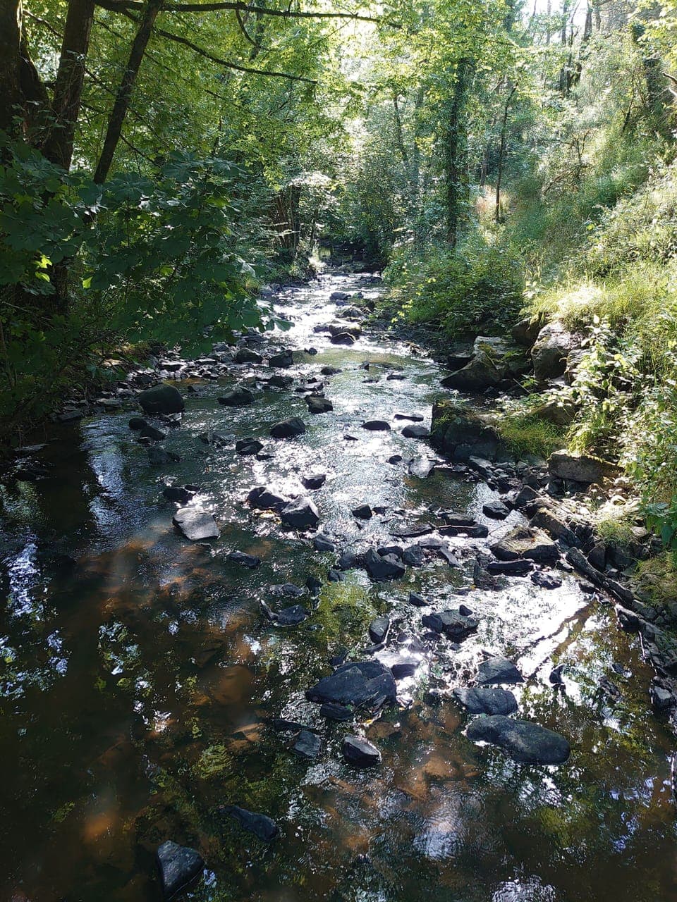 L'Anglin river gorge