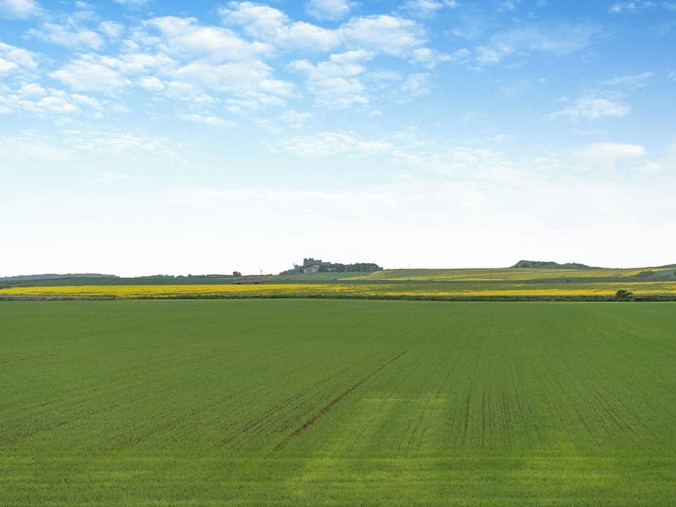 Surrounding area | Northwinds, Seahouses