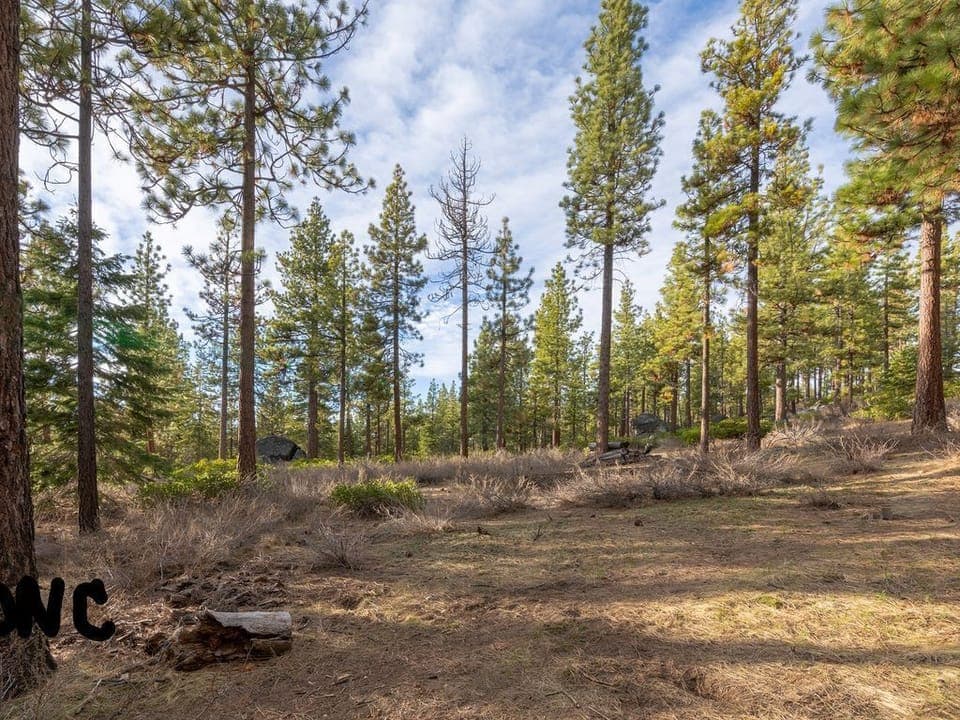 Forest and trails just feet from our door