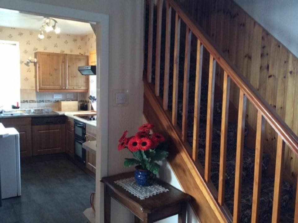 Flower, Property, Cabinetry, Furniture, Countertop, Interior Design, Wood, Lighting, Plant, Table