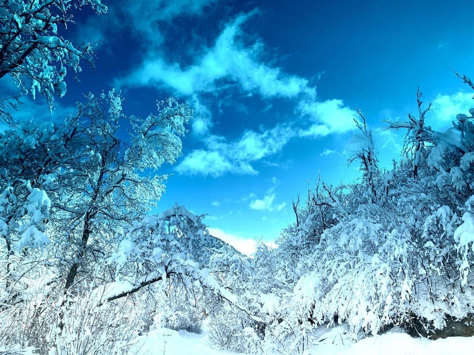 Winter at HappyOurs Ranch