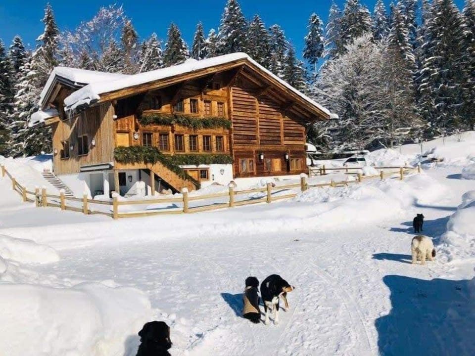 the chalet on a sunny winter day 