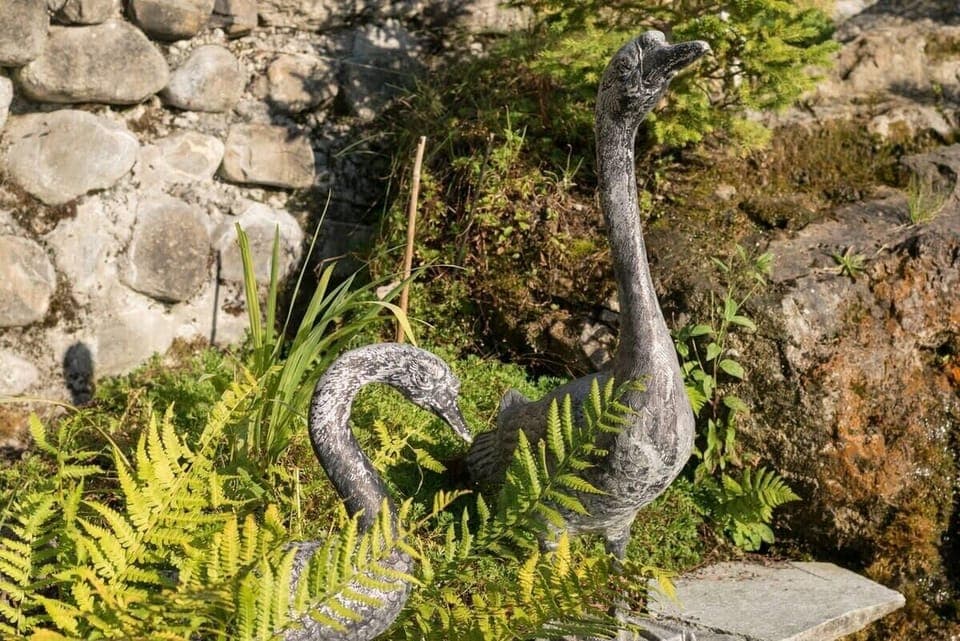 These geese don't bite