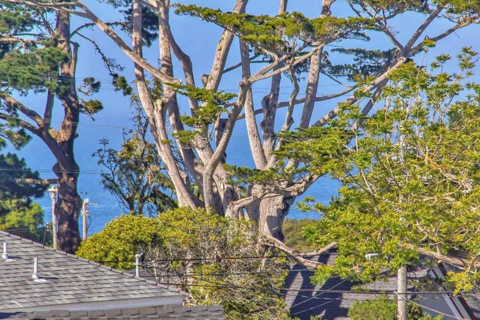 Peeks of Monterey Bay