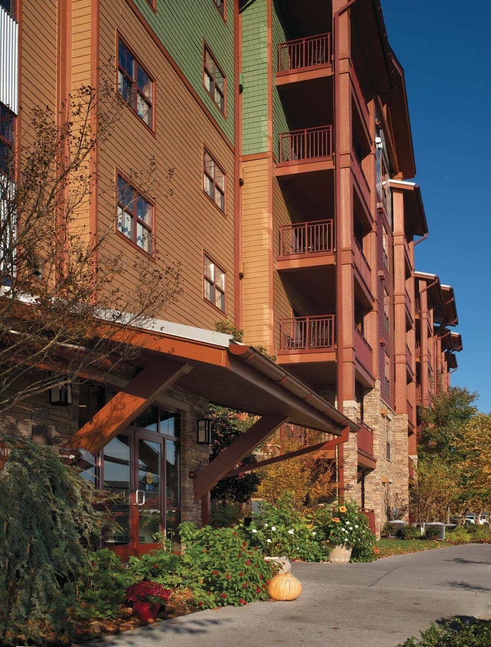 1 Bedroom Deluxe Pool View