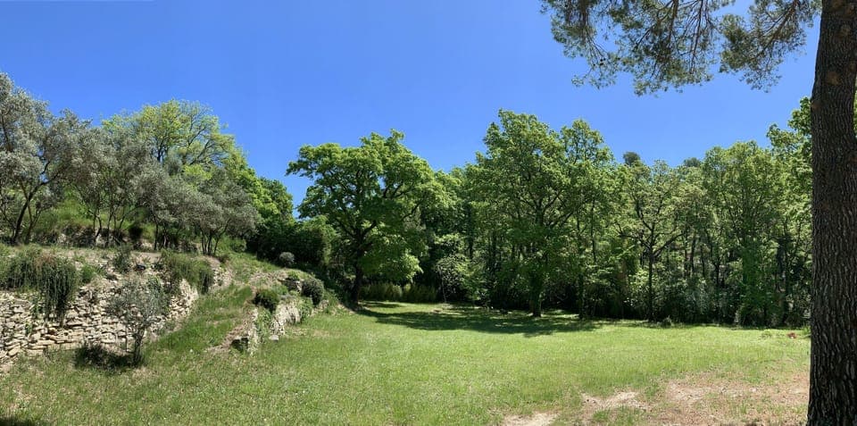 Très vaste pelouse où la piscine hors sol est installée pour l'été.
