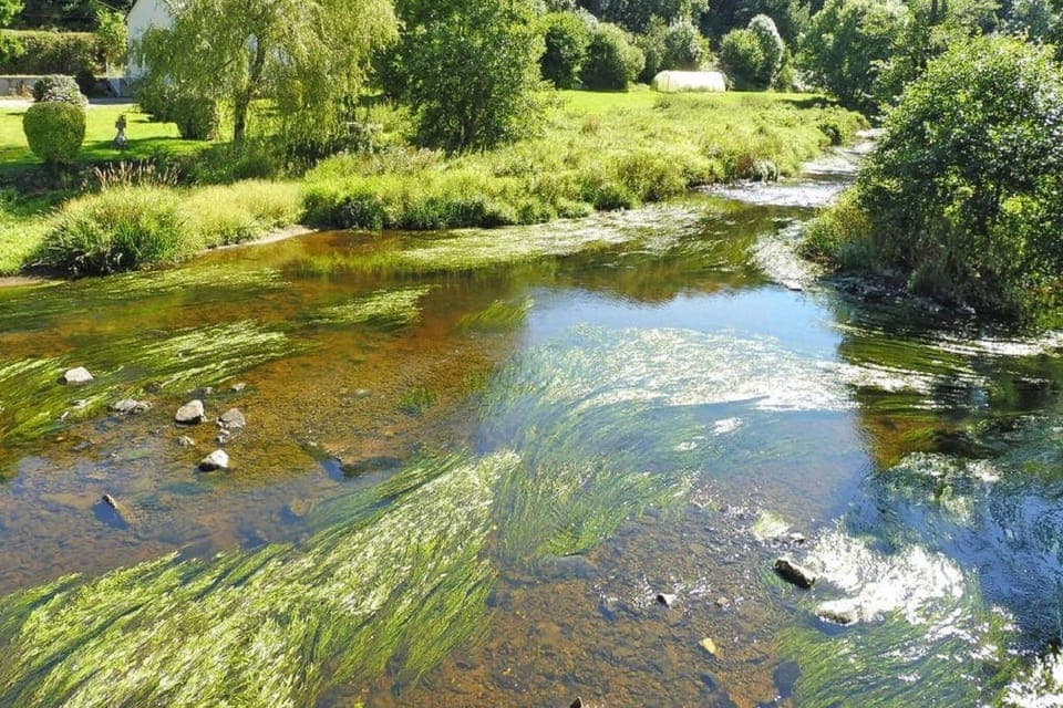 Immediate Surroundings [summer] (<1 km)