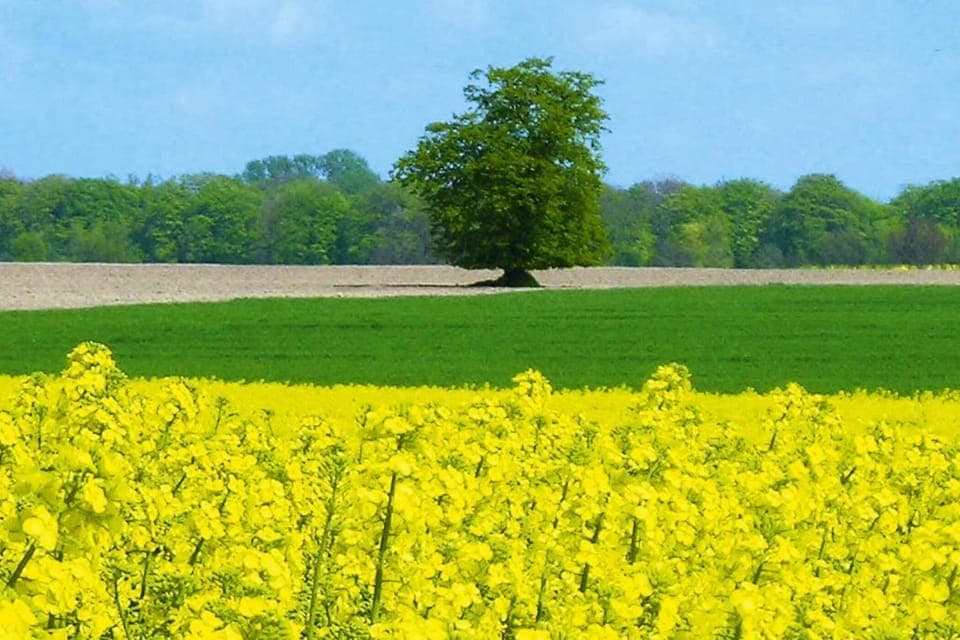 Region [summer] (>5 km)