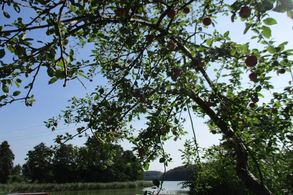 Immediate Surroundings [summer] (<1 km)