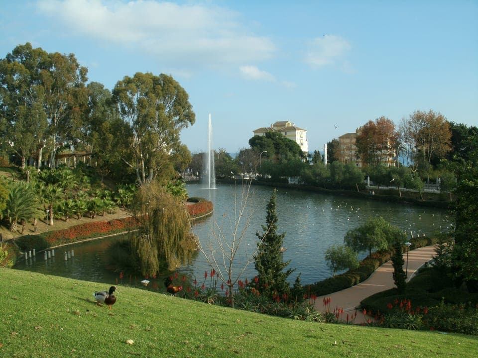 Paloma Park