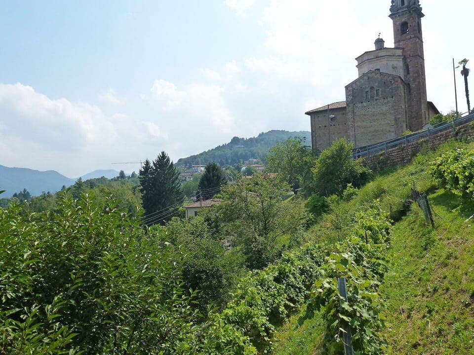 Vegetation, Castle, Hill Station, Hill, Tree, Highland, Mountain, Tourism, Building