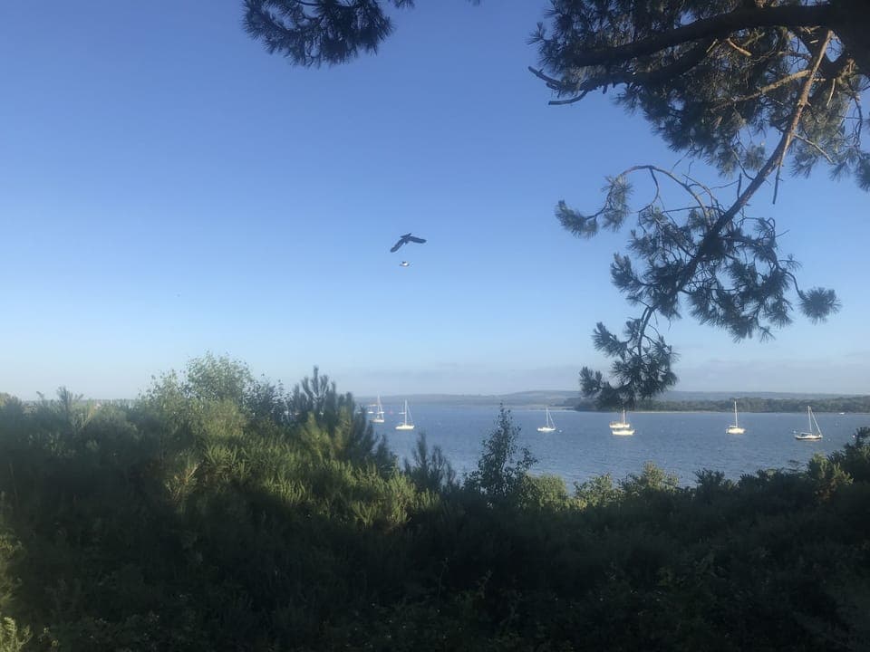 Poole Harbour only 200 meter away