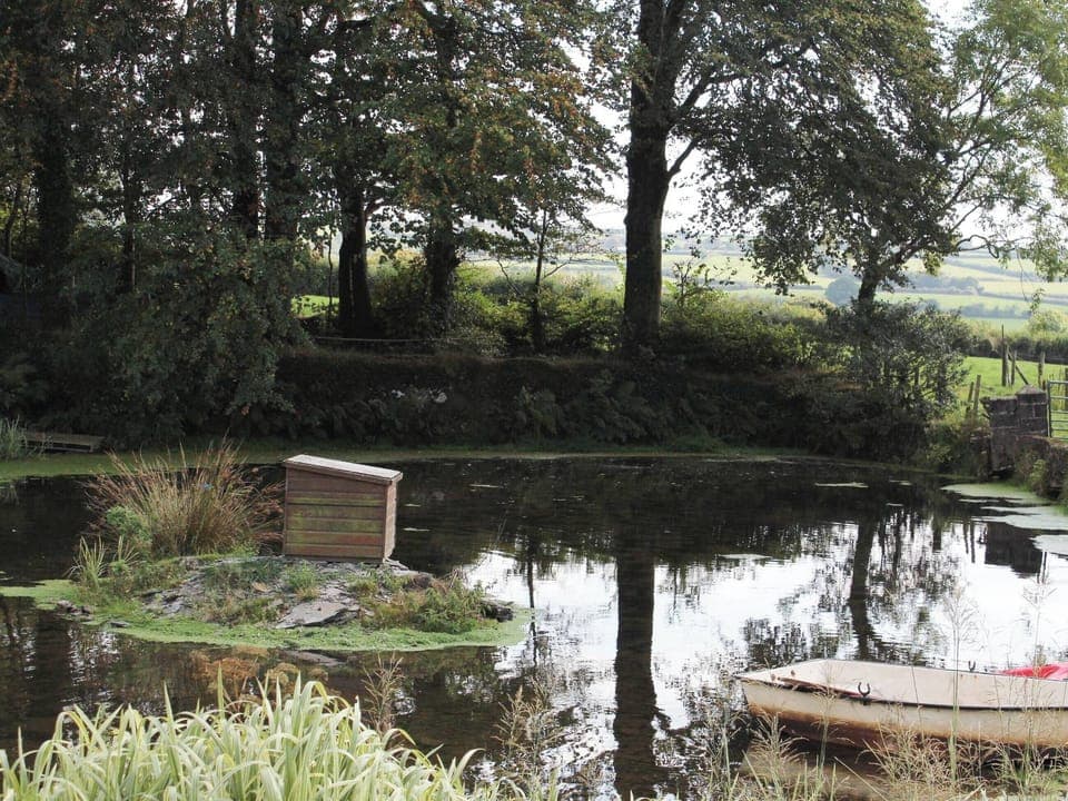 Tranquil pond area | The Orchard, The Farmhouse, The Carthouse - Morlogws Farm Holiday Cottages, Capel Iwan, near Newcastle Emlyn