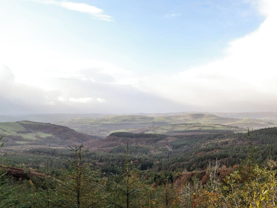Picturesque surrounding area | The Cow Shed - Cwm Clyd, Llandovery
