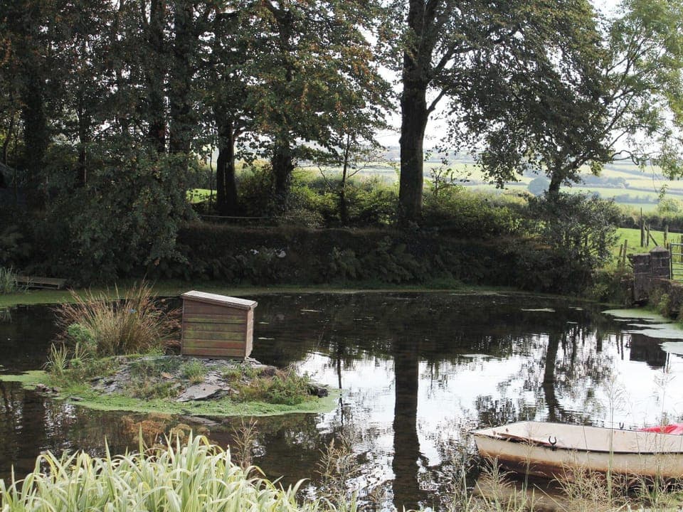 Tranquil pond area | The Orchard, The Farmhouse, The Carthouse - Morlogws Farm Holiday Cottages, Capel Iwan, near Newcastle Emlyn